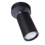 1968/04 PL-1 СВЕТИЛЬНИК ПОТОЛОЧНЫЙ