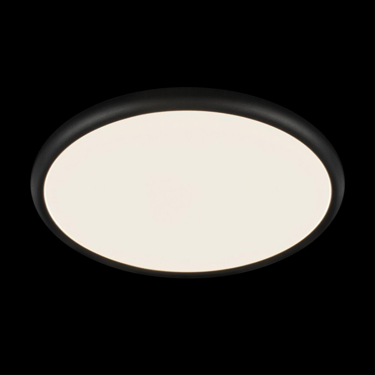 10454/500 Black  Потолочный светильник  LOFT IT Sweety — изображение 2