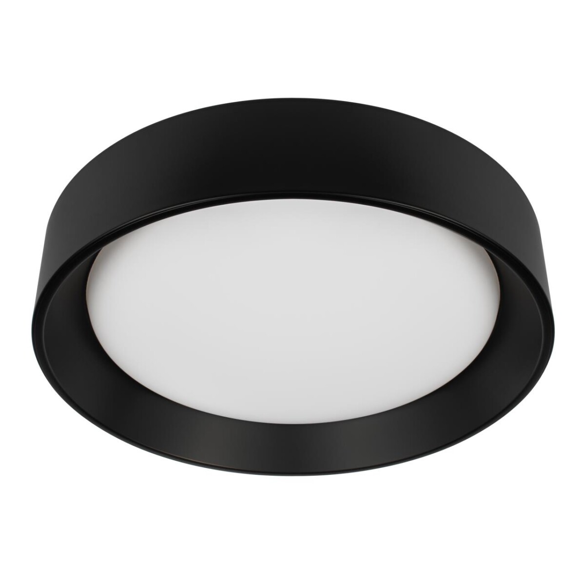 10202 BB  Потолочный светильник  LOFT IT Coin — изображение 1