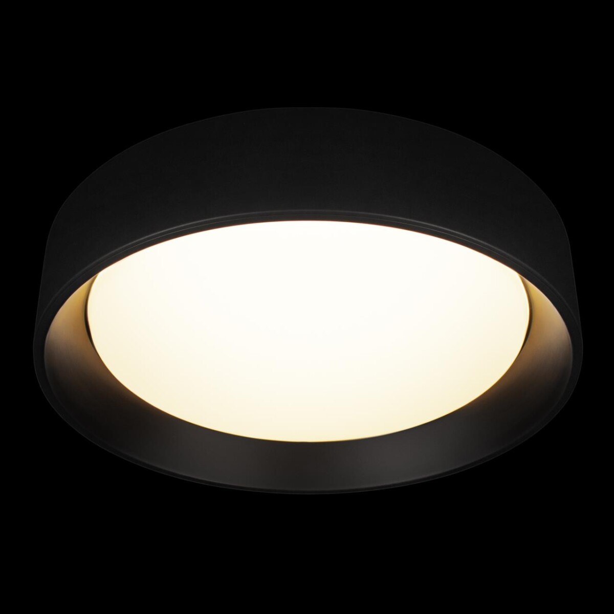 10202 BB  Потолочный светильник  LOFT IT Coin — изображение 2