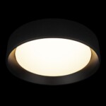 10202 BB  Потолочный светильник  LOFT IT Coin — изображение 2