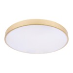 10228/B Потолочный светильник LOFT IT Flims — изображение 3