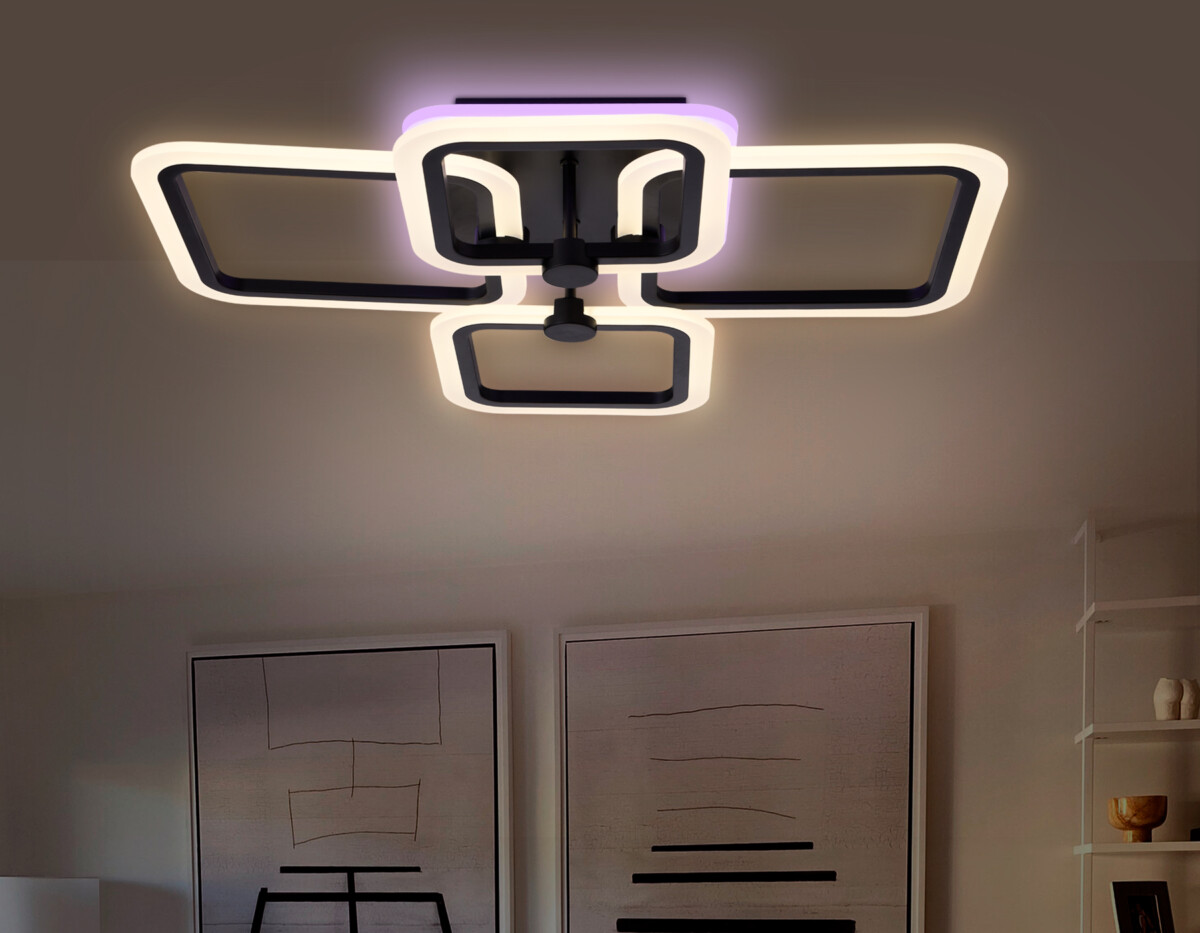 FA531_inside FA531/2+2 BK черный 105W 580*420*130 (ПДУ РАДИО 2.4G) — изображение 1