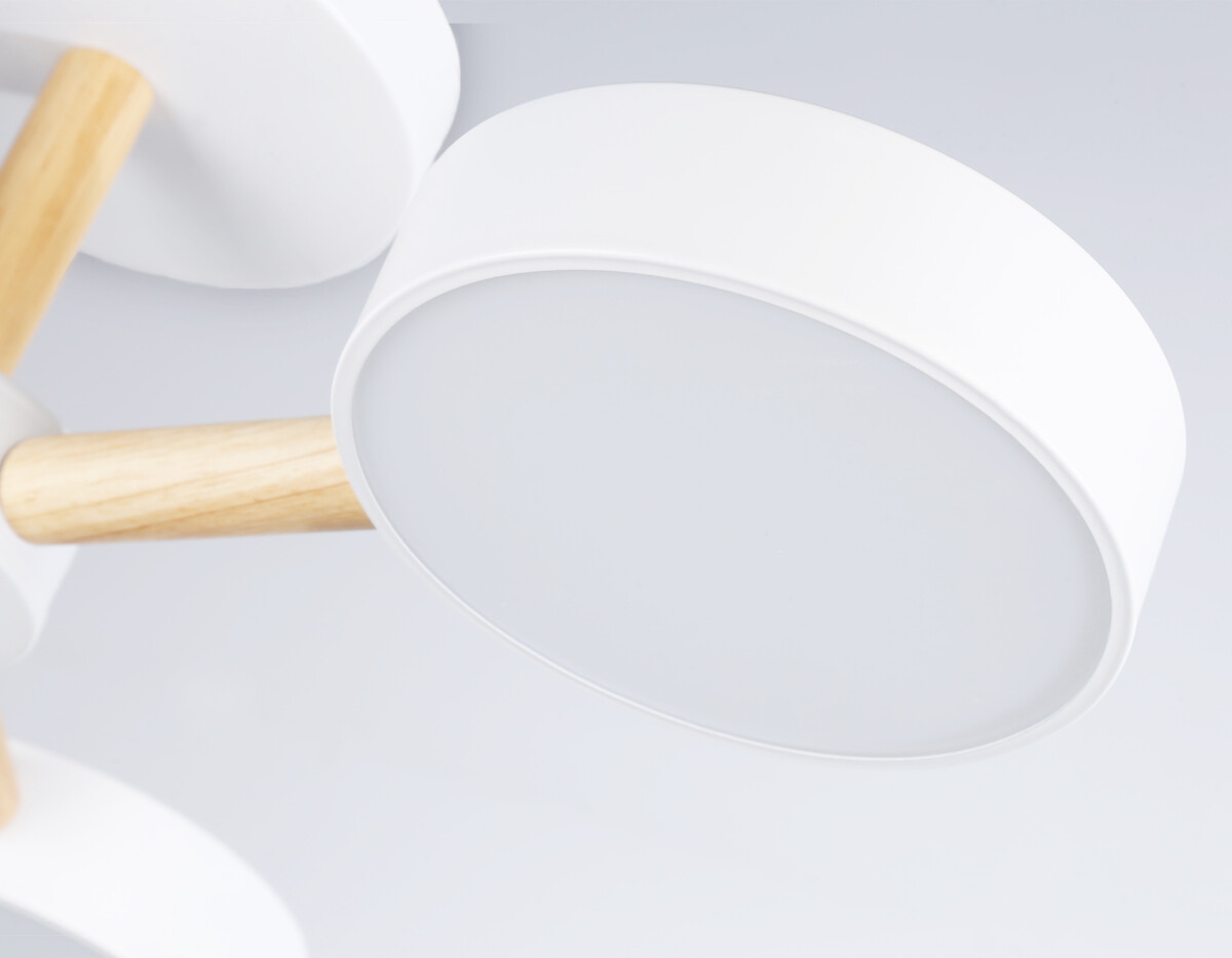 FL4821_macro1 FL4821/3 WH белый 3000K-6400K 40W D580*160 (ПДУ ИК) — изображение 1