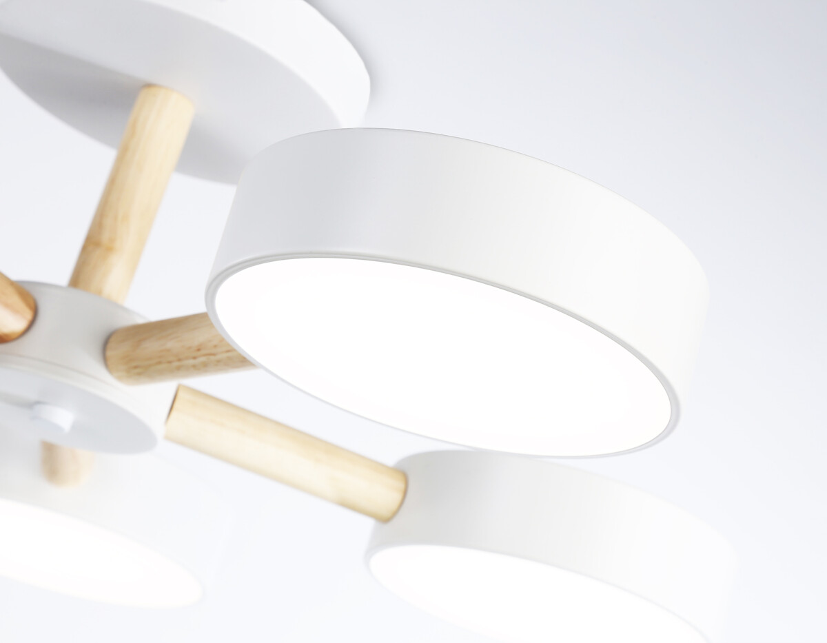 FL4825_macro1 FL4825/5 WH белый 3000K-6400K 65W D580*160 (ПДУ ИК) — изображение 1