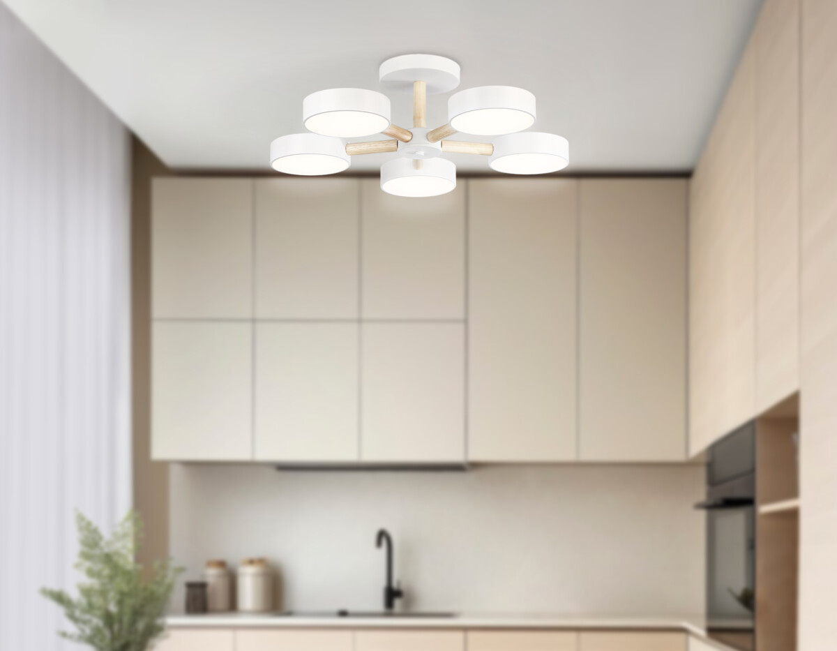 FL4825/5 WH белый 3000K-6400K 65W D580*160 (ПДУ ИК) — изображение 7