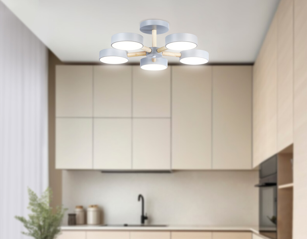 FL4826/5 GR серый 3000K-6400K 65W D580*160 (ПДУ ИК) — изображение 5