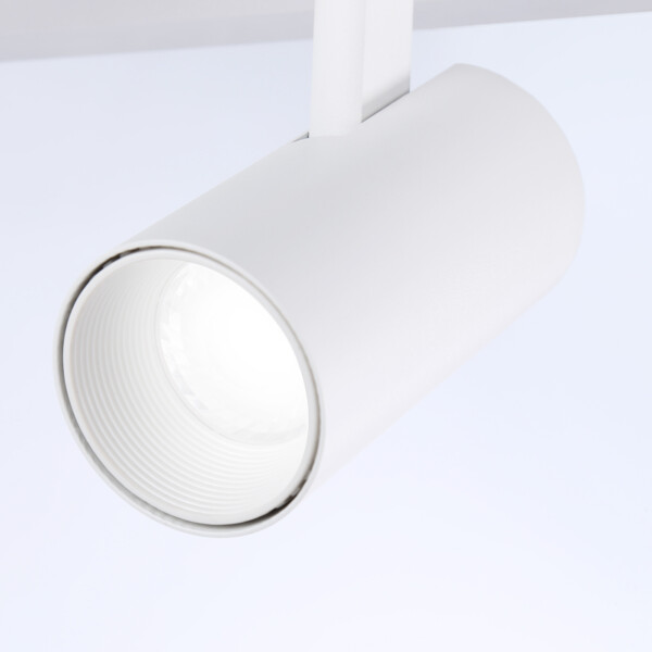 FL66201/1+5 WH белый 67W 3000K-6400K+G9/2 1000*100*400 (ПДУ ИК)