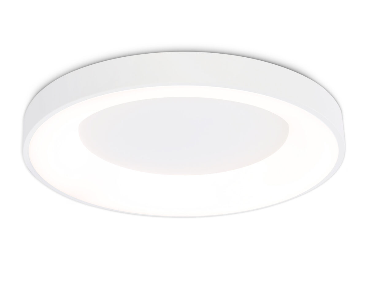 FZ1401 WH белый IP20 48W 3000K-6500K D500*50 (ПДУ ИК) — изображение 9