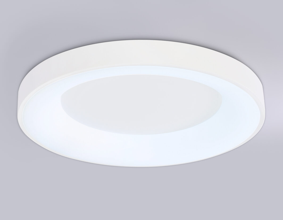 FZ1401 WH белый IP20 48W 3000K-6500K D500*50 (ПДУ ИК) — изображение 4