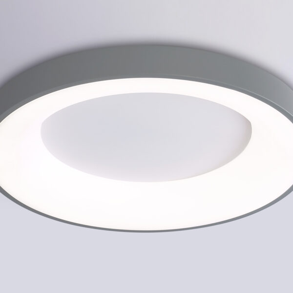 FZ1402 GR серый IP20 48W 3000K-6500K D500*50 (ПДУ ИК)