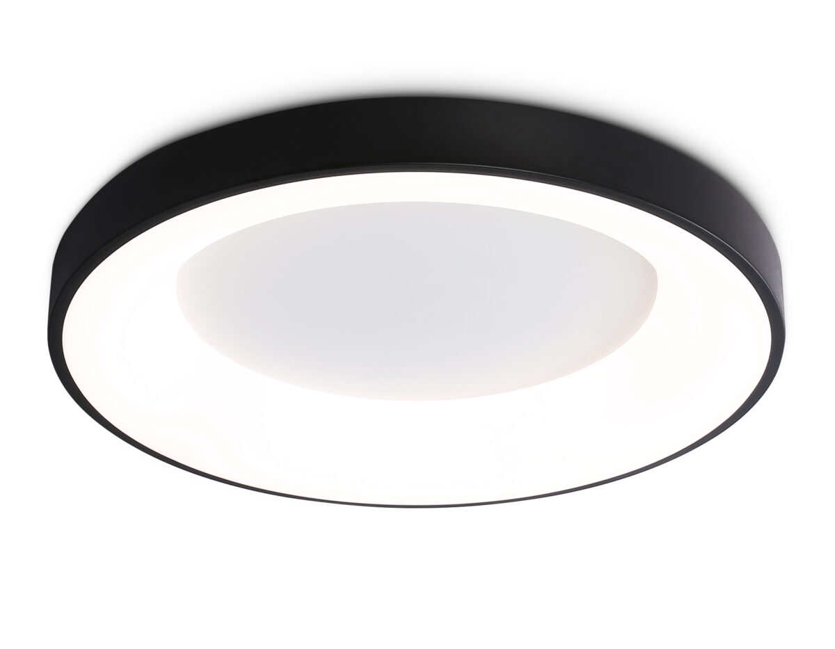 FZ1403 BK черный IP20 48W 3000K-6500K D500*50 (ПДУ ИК) — изображение 9