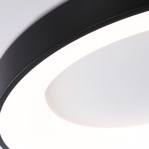 FZ1403 BK черный IP20 48W 3000K-6500K D500*50 (ПДУ ИК)