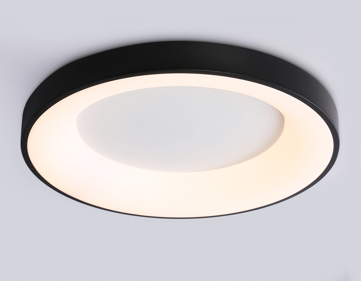 FZ1403 BK черный IP20 48W 3000K-6500K D500*50 (ПДУ ИК) — изображение 3