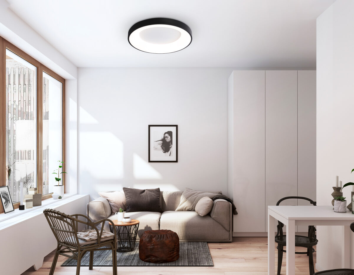 FZ1403 BK черный IP20 48W 3000K-6500K D500*50 (ПДУ ИК) — изображение 7