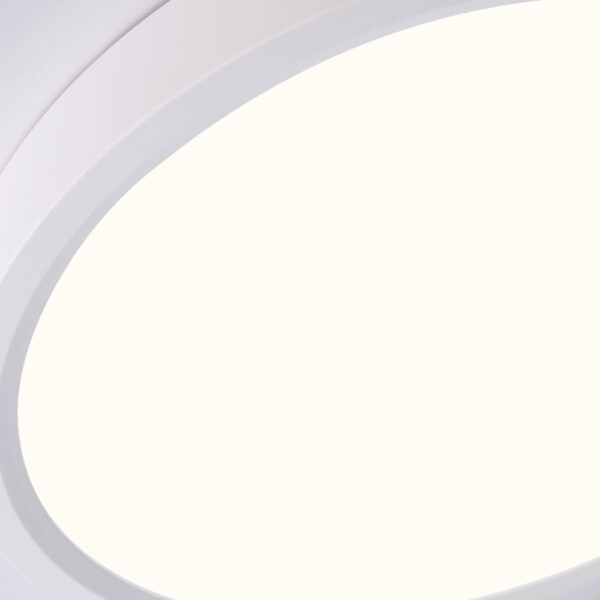 FZ1901 WH белый IP54 13W 3000K-6500K CCT-переключатель D230*25 (Без ПДУ)