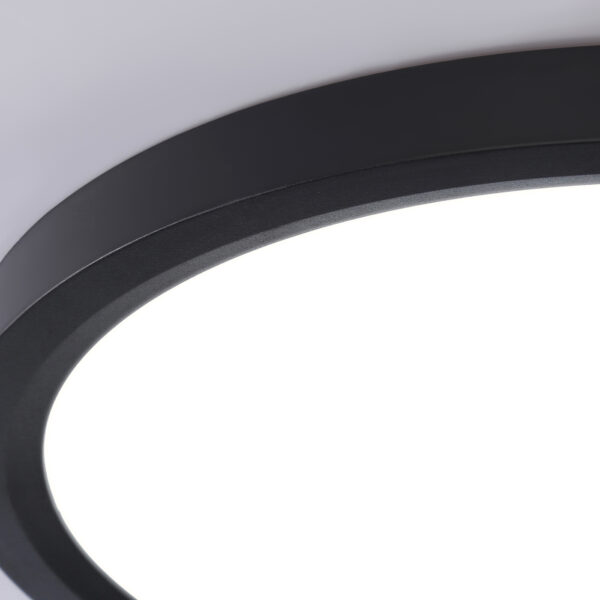 FZ1908 BK черный IP54 35W 3000K-6500K CCT-переключатель D450*25 (Без ПДУ)