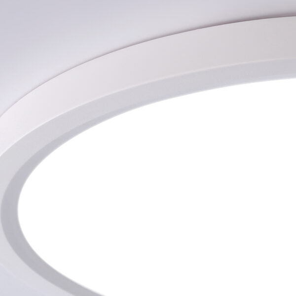 FZ1909 WH белый IP54 44W 3000K-6500K CCT-переключатель D600*25 (Без ПДУ)