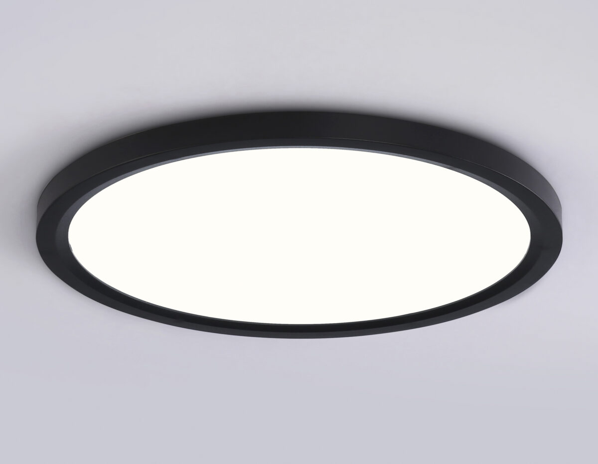 FZ1910 BK черный IP54 44W 3000K-6500K CCT-переключатель D600*25 (Без ПДУ) — изображение 2