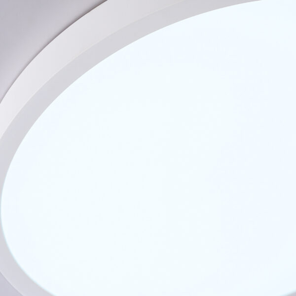 FZ1951 WH белый IP54 20W 5000K D270*15 (Без ПДУ)