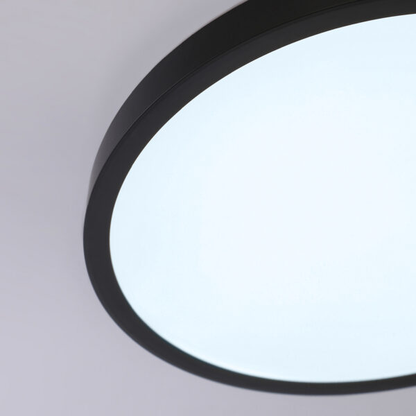 FZ1953 BK черный IP54 20W 5000K D270*15 (Без ПДУ)