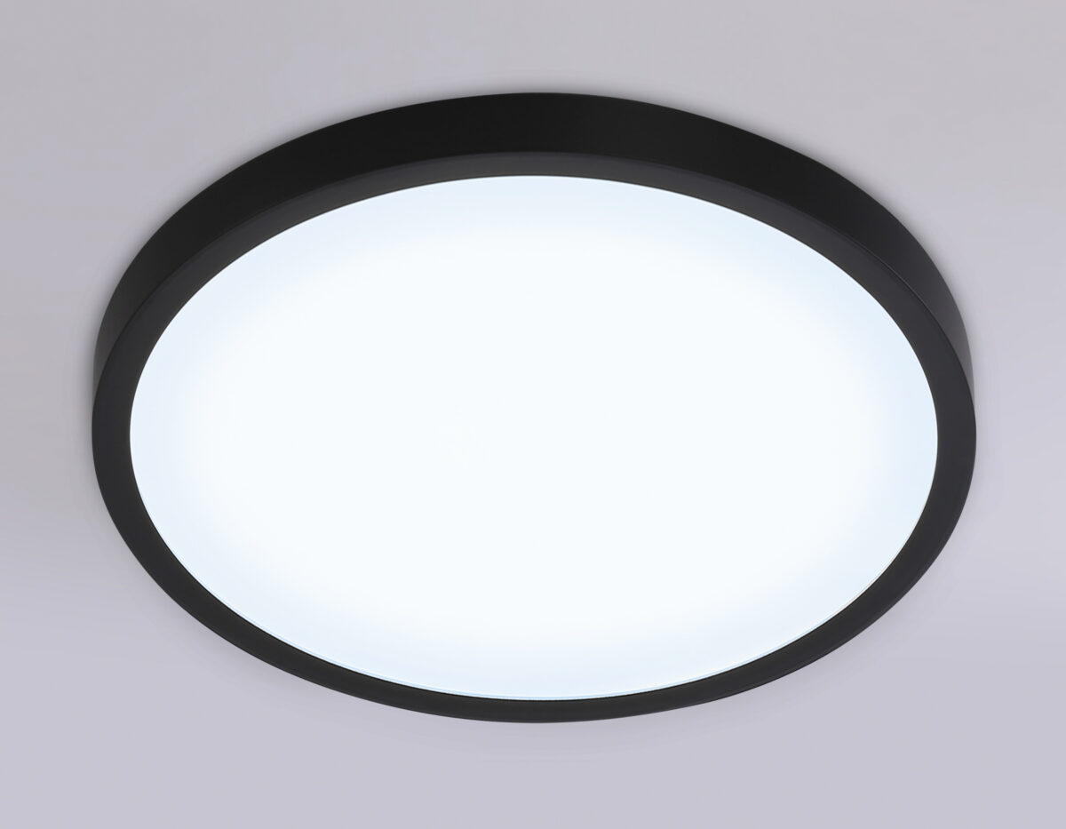 FZ1953 BK черный IP54 20W 5000K D270*15 (Без ПДУ) — изображение 2