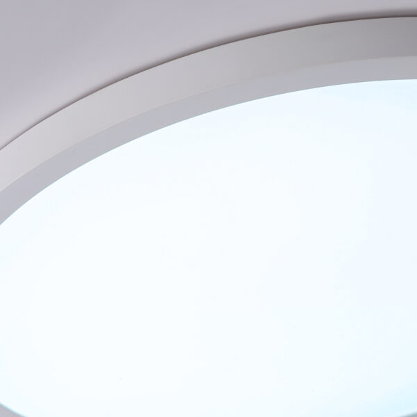 FZ1959 WH белый IP54 40W 5000K D470*15 (Без ПДУ)