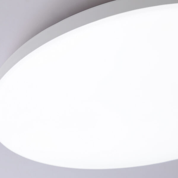 FZ2001 WH белый IP54 20W 3000K-6500K+RGB Wi-Fi Алиса/Tuya/Smart Home/Alexa D300*55 (ПДУ ИК)