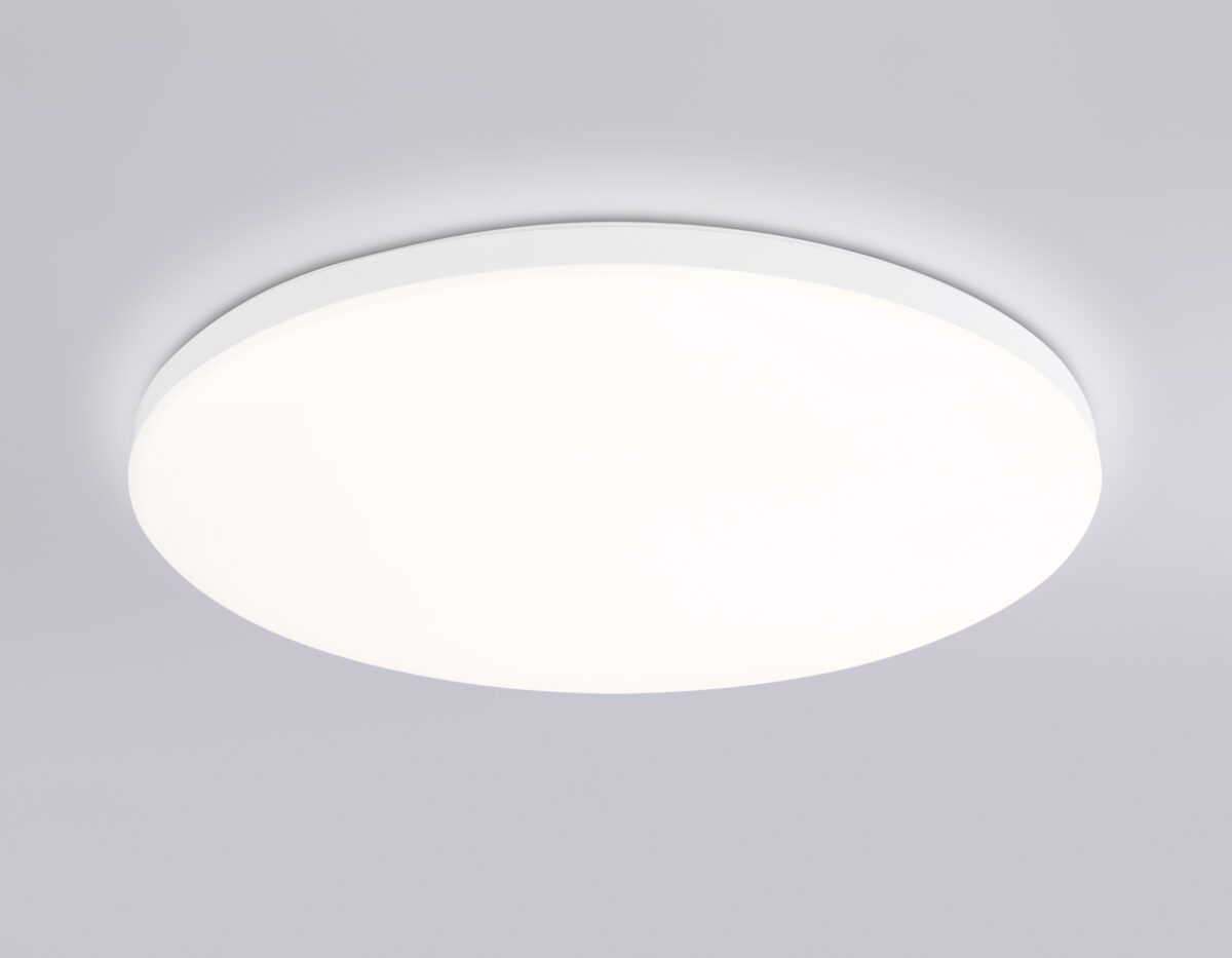 FZ2001 WH белый IP54 20W 3000K-6500K+RGB Wi-Fi Алиса/Tuya/Smart Home/Alexa D300*55 (ПДУ ИК) — изображение 2