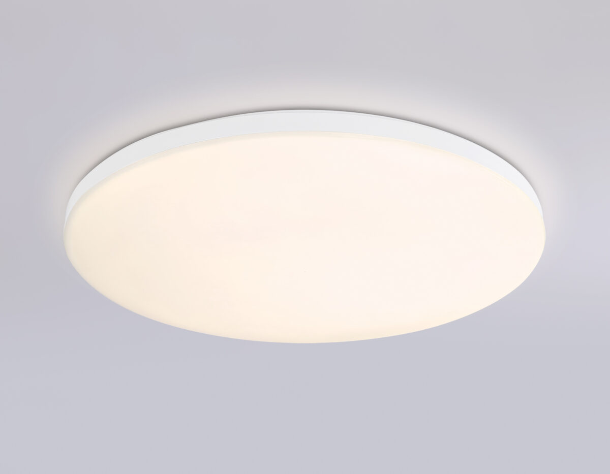 FZ2001 WH белый IP54 20W 3000K-6500K+RGB Wi-Fi Алиса/Tuya/Smart Home/Alexa D300*55 (ПДУ ИК) — изображение 10