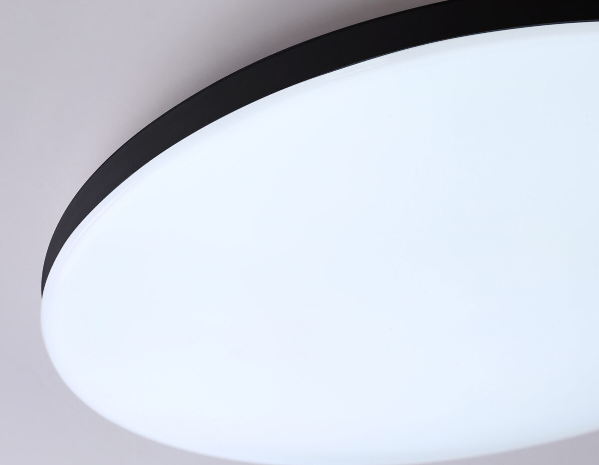 FZ2004 BK черный IP54 20W 3000K-6500K+RGB Wi-Fi Алиса/Tuya/Smart Home/Alexa D300*55 (ПДУ ИК) — изображение 1