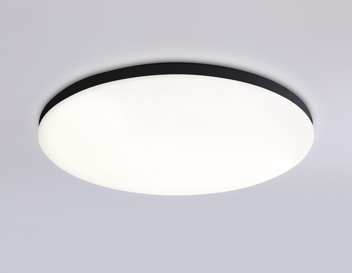 FZ2004 BK черный IP54 20W 3000K-6500K+RGB Wi-Fi Алиса/Tuya/Smart Home/Alexa D300*55 (ПДУ ИК) — изображение 2