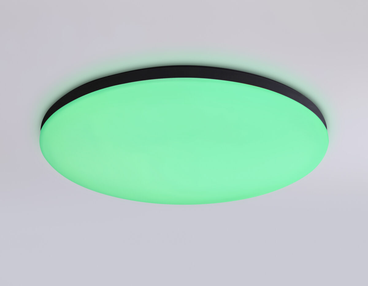 FZ2004 BK черный IP54 20W 3000K-6500K+RGB Wi-Fi Алиса/Tuya/Smart Home/Alexa D300*55 (ПДУ ИК) — изображение 3