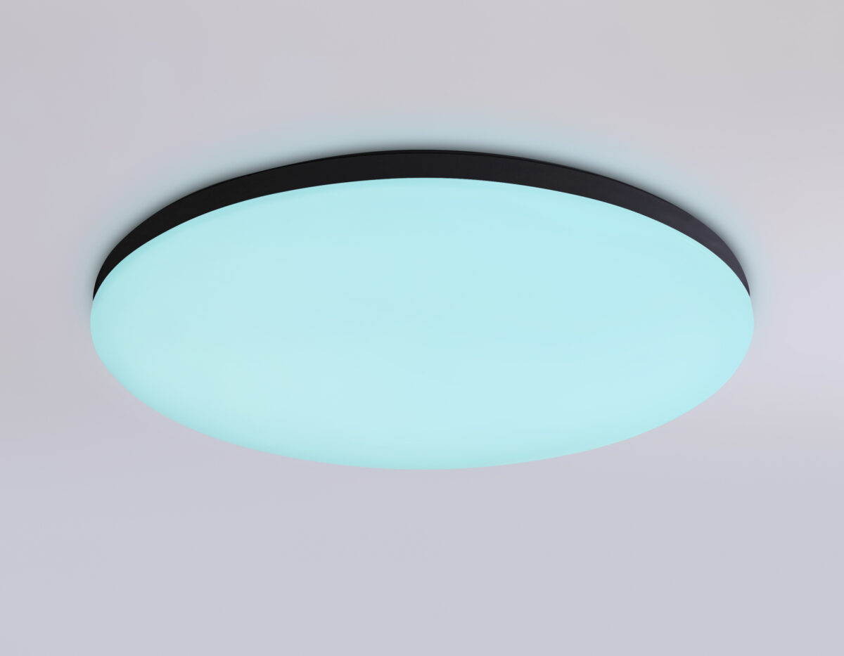 FZ2004 BK черный IP54 20W 3000K-6500K+RGB Wi-Fi Алиса/Tuya/Smart Home/Alexa D300*55 (ПДУ ИК) — изображение 4