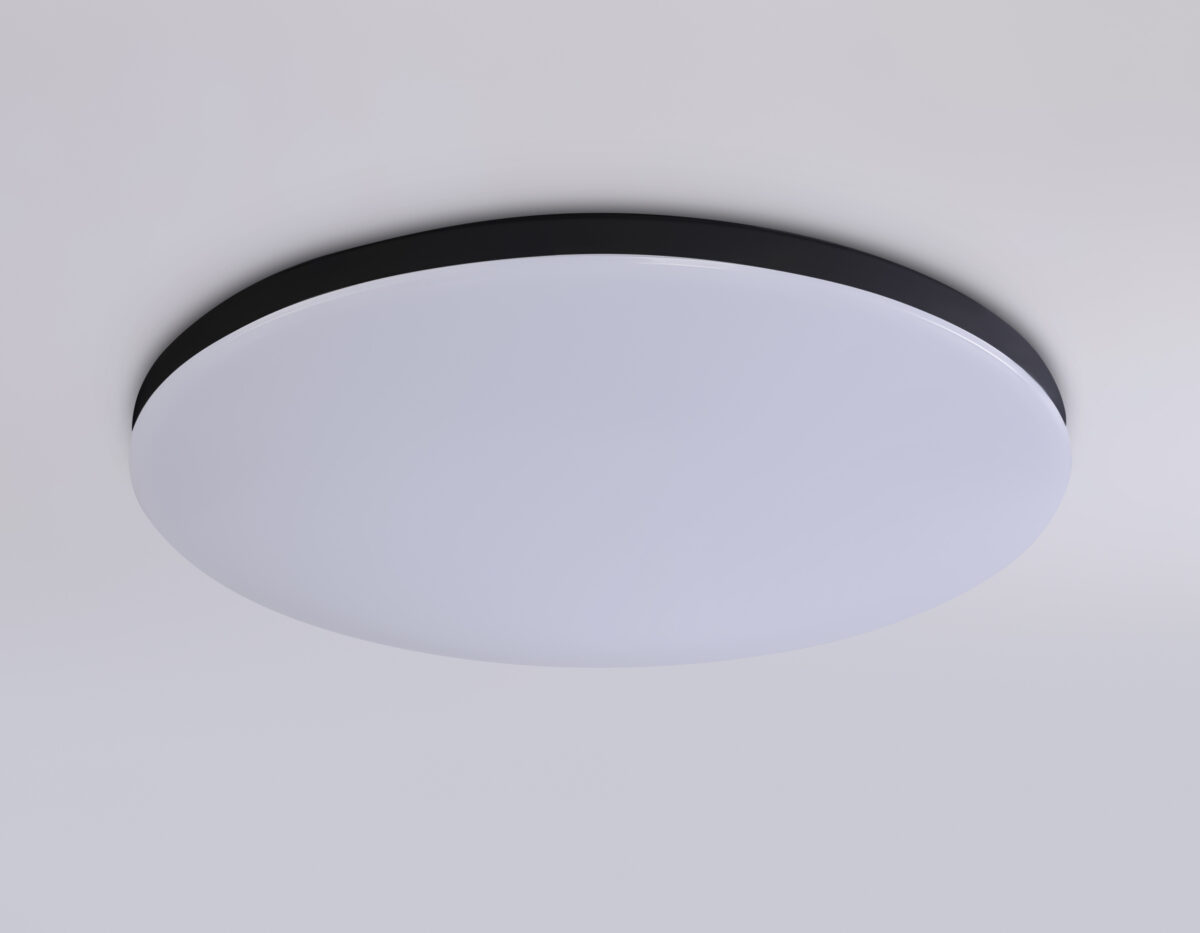 FZ2004 BK черный IP54 20W 3000K-6500K+RGB Wi-Fi Алиса/Tuya/Smart Home/Alexa D300*55 (ПДУ ИК) — изображение 5