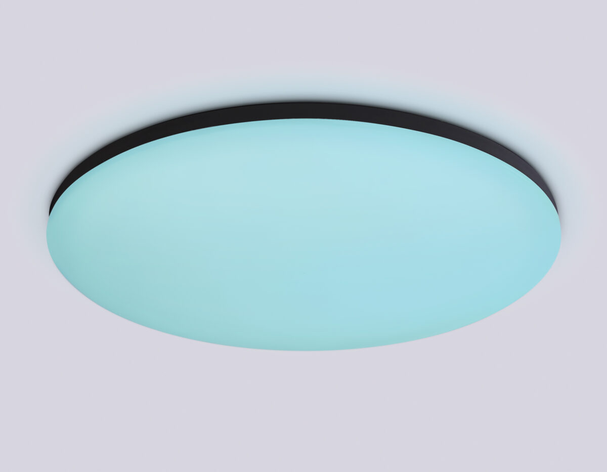 FZ2005 BK черный IP54 25W 3000K-6500K+RGB Wi-Fi Алиса/Tuya/Smart Home/Alexa D370*55 (ПДУ ИК) — изображение 4