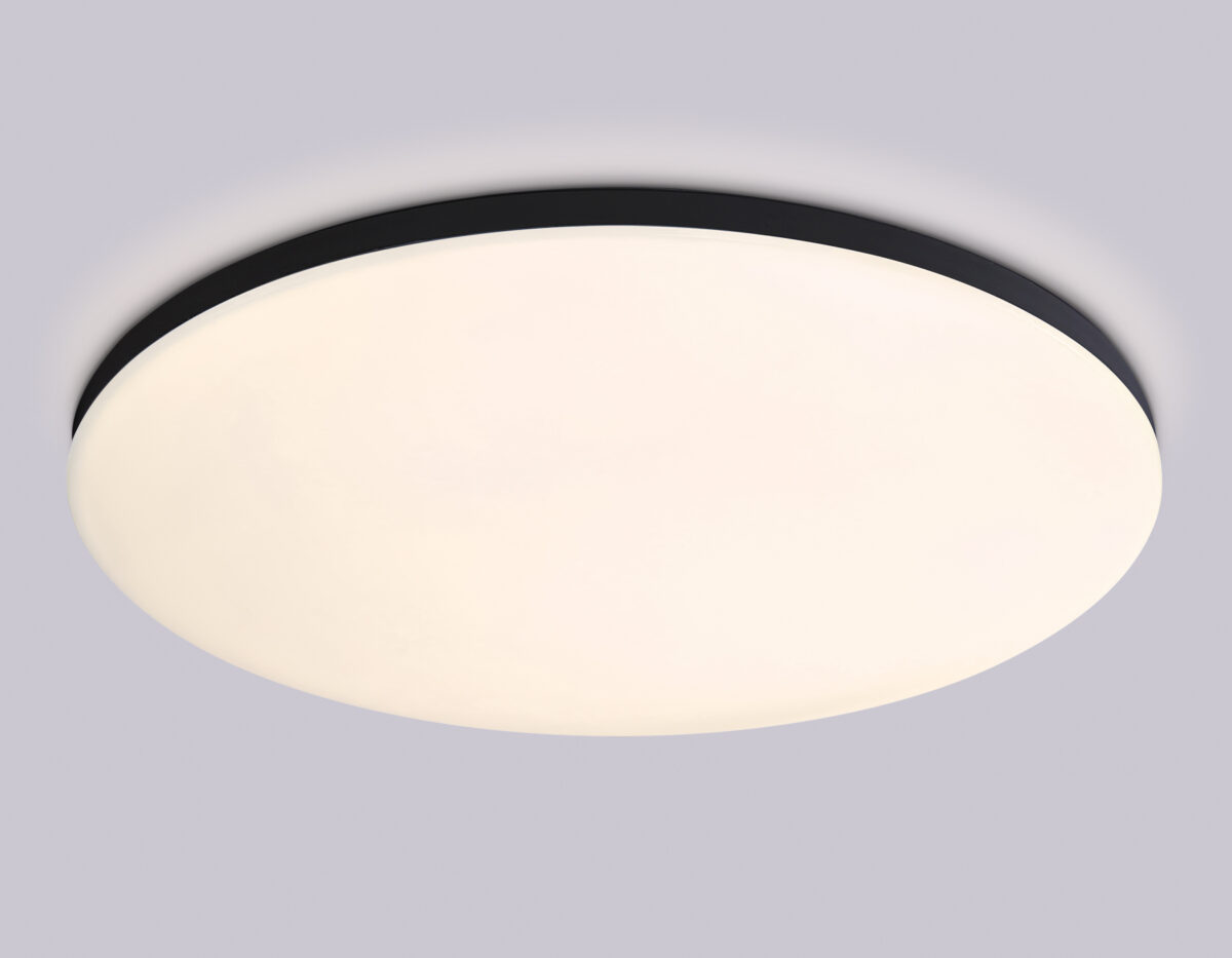 FZ2006 BK черный IP54 30W 3000K-6500K+RGB Wi-Fi Алиса/Tuya/Smart Home/Alexa D450*60 (ПДУ ИК) — изображение 10