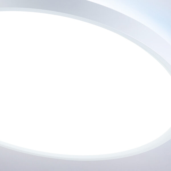 FZ3001 WH белый IP44 24W+10W 6400+6400К D300*40 (Без ПДУ)