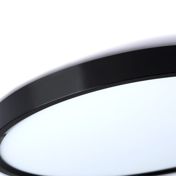 FZ3050 BK черный IP44 24W+10W 6400+6400К D300*40 (Без ПДУ)