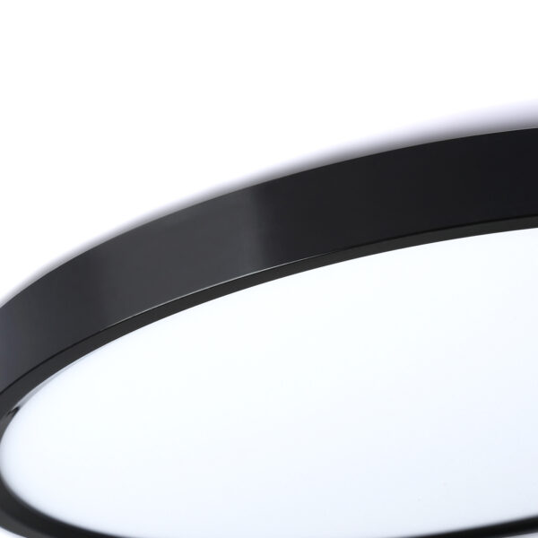 FZ3055 BK черный IP44 33W+10W 6400+6400К D370*40 (Без ПДУ)