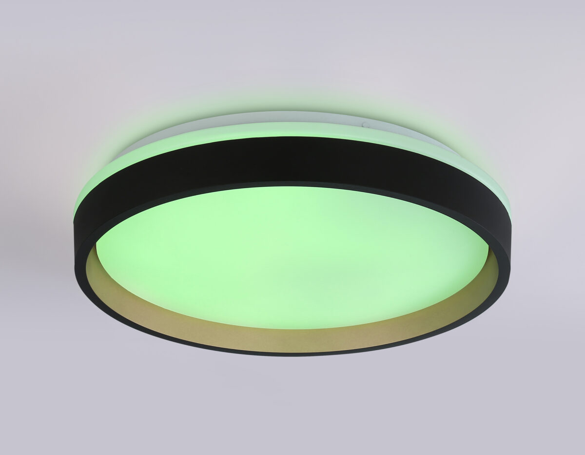 FZ604 BK/GD черный/золото IP20 46W 3000K-6500K+RGB D390*80 (ПДУ ИК) — изображение 2