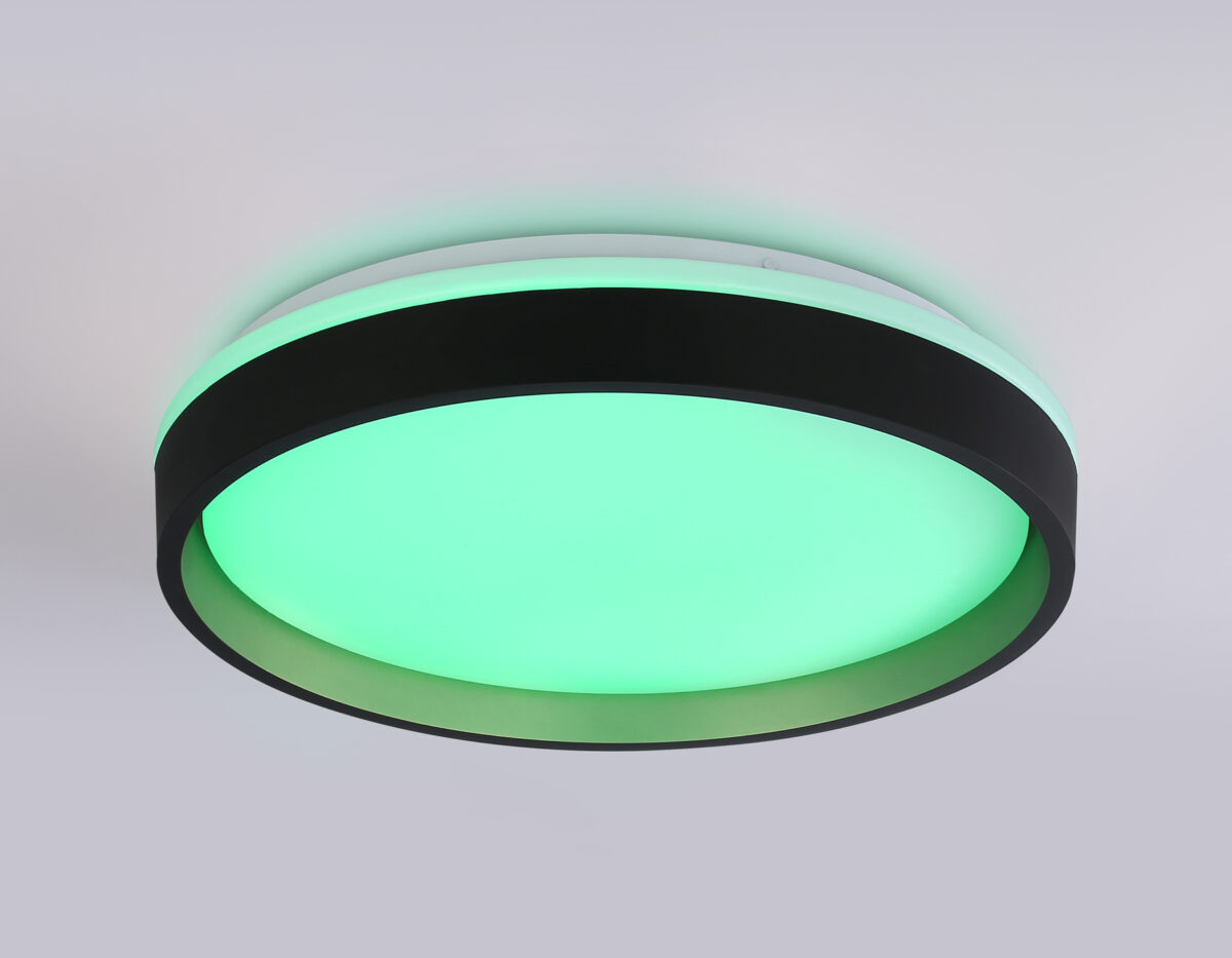 FZ604 BK/GD черный/золото IP20 46W 3000K-6500K+RGB D390*80 (ПДУ ИК) — изображение 10