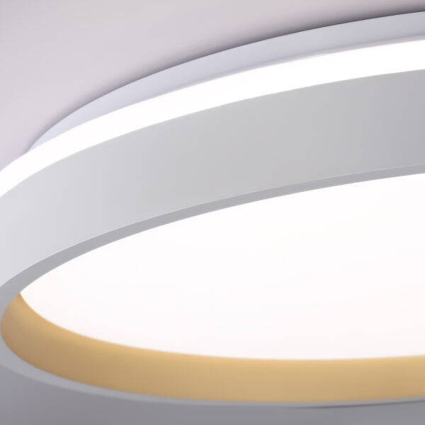 FZ607 WH/GD белый/золото IP20 66W 3000K-6500K+RGB D490*85 (ПДУ ИК)