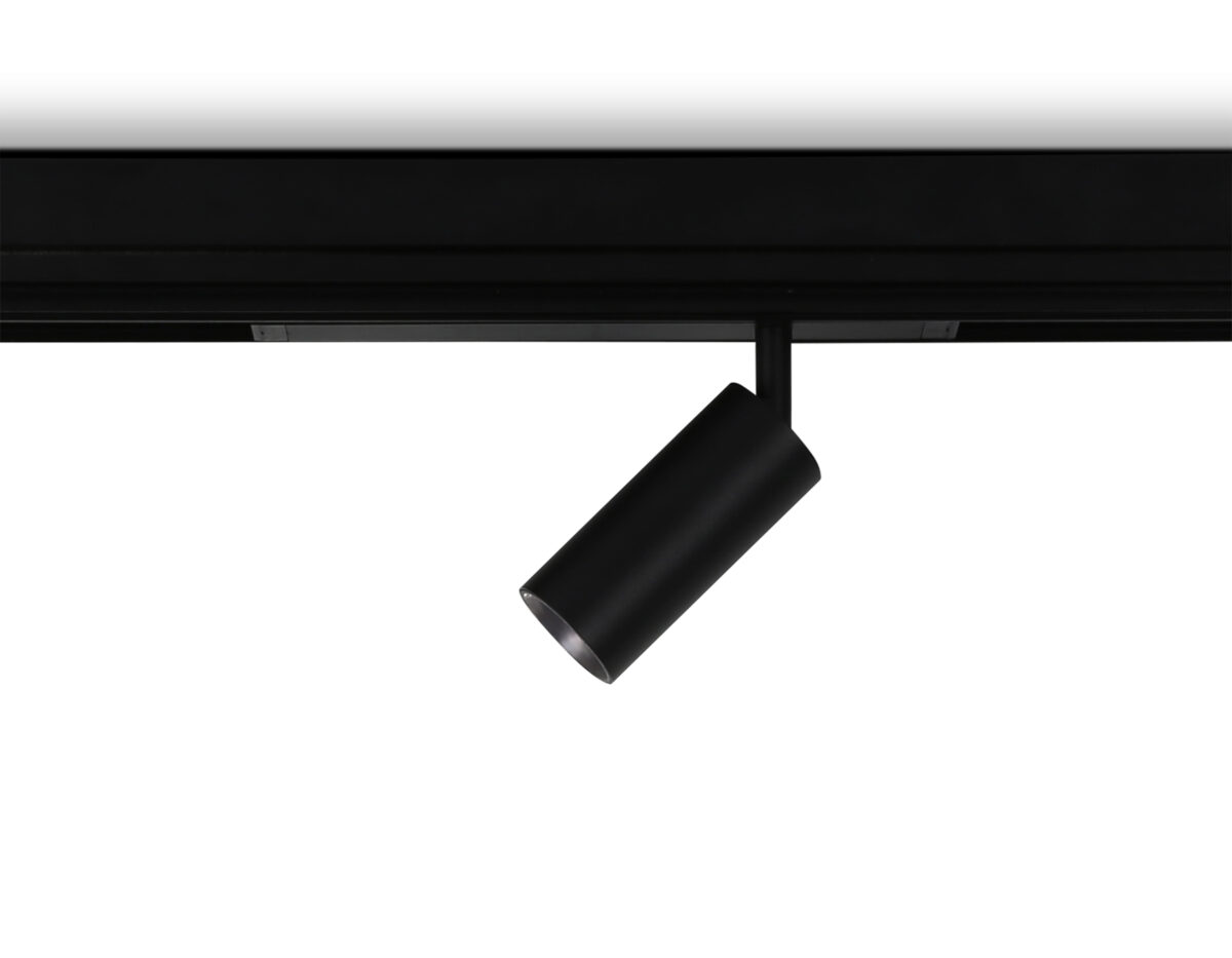 GL1212 BK черный IP20 12W 3000K-6400K 220V 36° D45*100 (Без ПДУ) — изображение 1