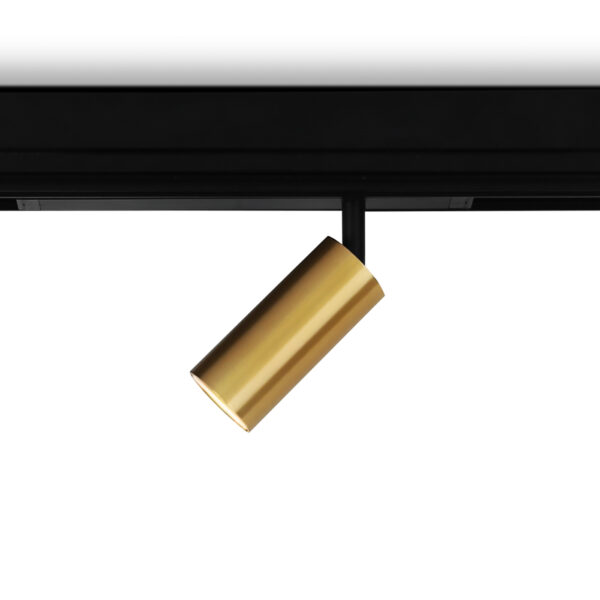 GL1213 GD золото IP20 12W 3000K-6400K 220V 36° D45*100 (Без ПДУ)