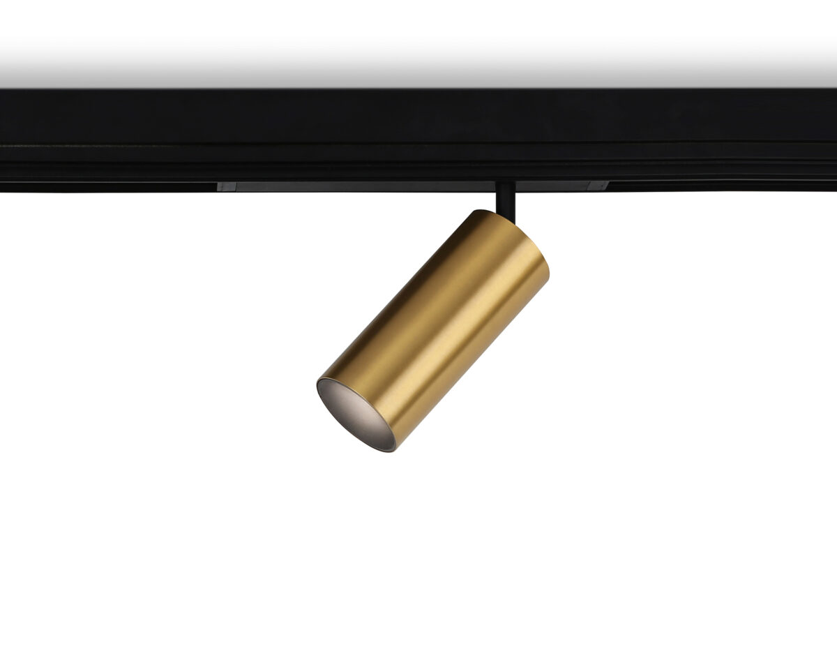 GL1233 GD золото IP20 24W 3000K-6400K 220V 36° D65*140 (Без ПДУ) — изображение 1