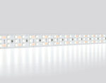 GS3903 2835 324Led/ 26W m/ 24V IP20 6500K/ 5000*18*1.2mm (2 конт.)