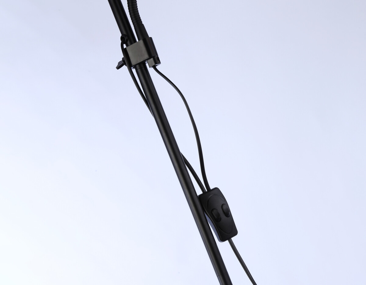 TR97629/2 BK черный E27+E14 max 40W D245/100*1770 — изображение 2