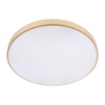 10228/B Потолочный светильник LOFT IT Flims — изображение 5