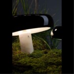 1083/06 TL-2 СВЕТИЛЬНИК НАСТОЛЬНЫЙ — изображение 2